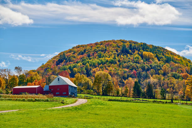 istock Farm with red barn at sunny autumn day 1159664466