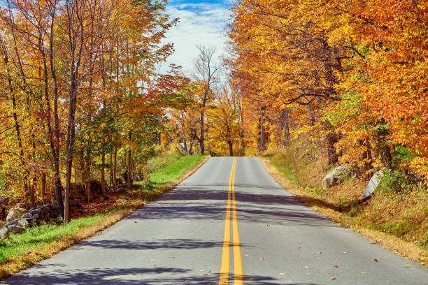 istock Highway at autumn day, Vermont, USA. 1159664480