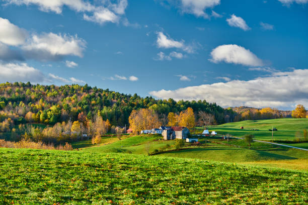 istock Farm with barn at sunny autumn morning 1159664650