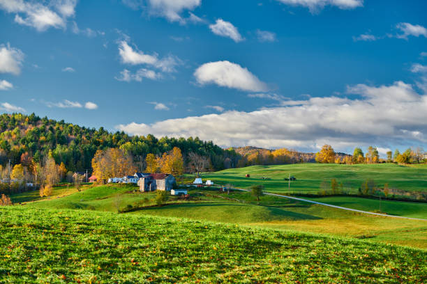 istock Farm with barn at sunny autumn morning 1159664656