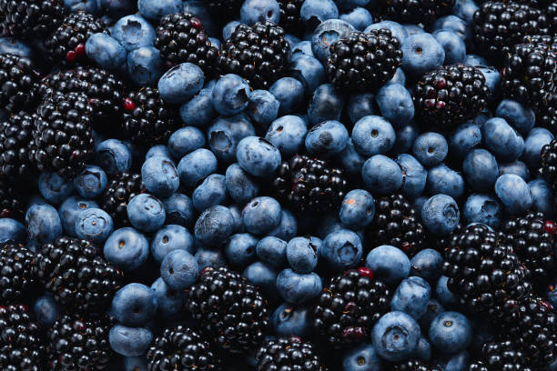 istock Blackberry and  blueberry background. Top view. 1159664936