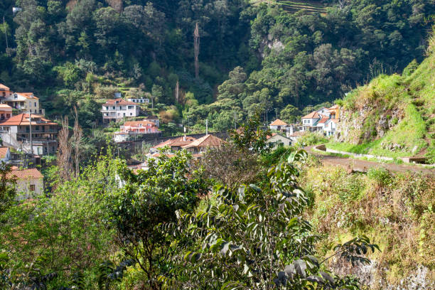 istock Hiking on the Levada dos Marocos 1159667429