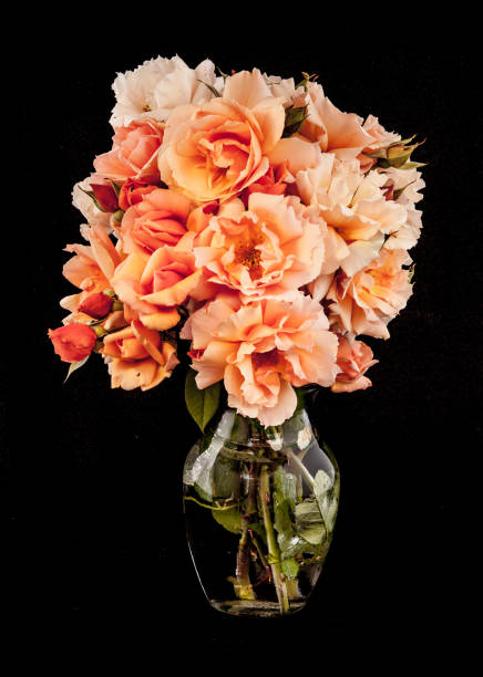istock Bouquet of Wild Roses 1159667774
