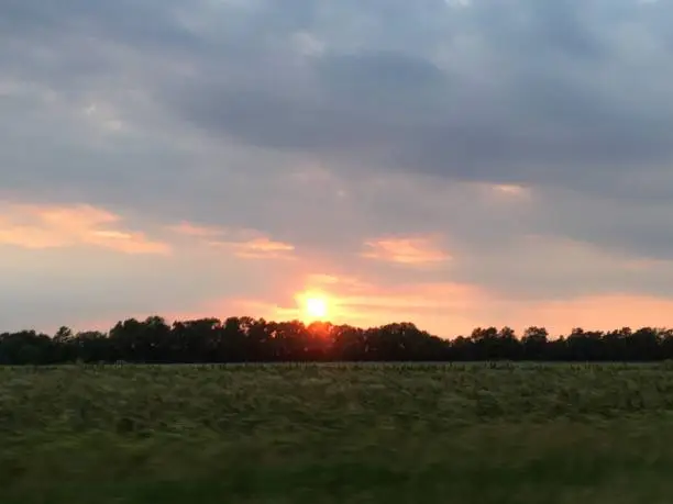 Photo of Sunset over a field