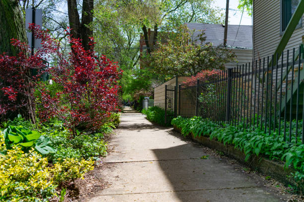 istock Plant Lined Sidewalk Scene next to Homes in Wicker Park Chicago 1159669069