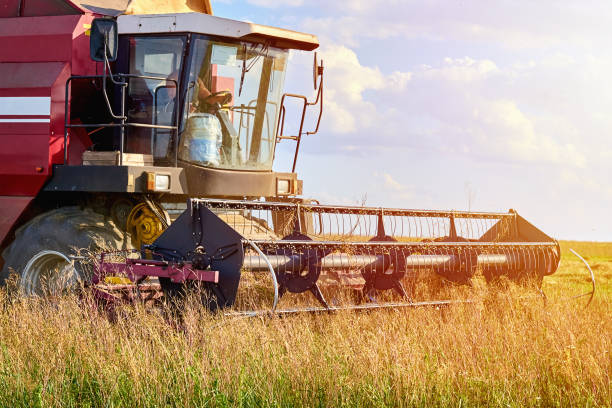 istock Harvester machine working to harvest a rye field 1159672286