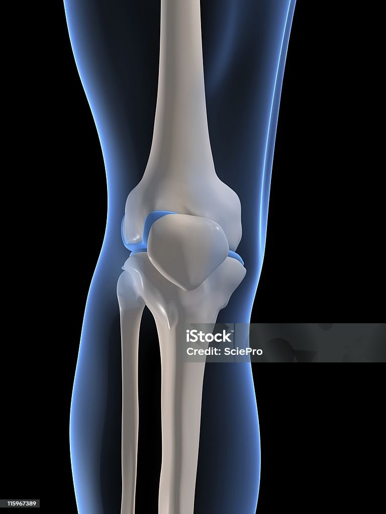 人間の膝 - 関節のロイヤリティフリーストックフォト