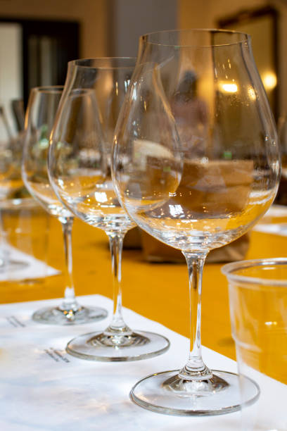 istock Professional wine tasting, sommelier course, clean empty wine glasses for different wines 1159674271