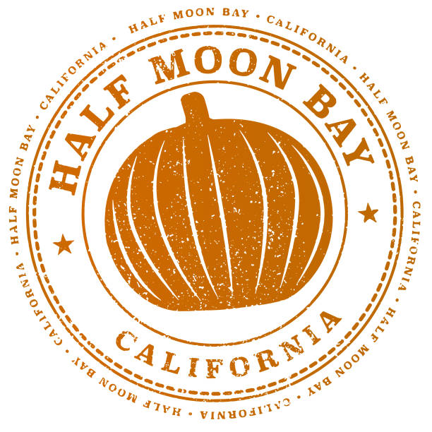 полулун-бей, калифорния - half moon bay stock illustrations