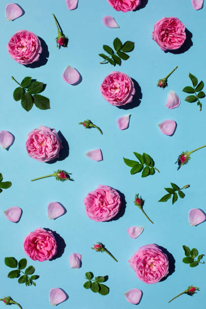istock Decorative still life with summer flowers and leaves. 1159674497