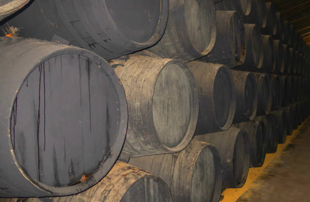 istock Wine barrels in wine-vaults in order 1159676016