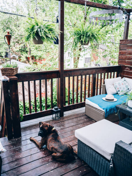 istock Outdoor patio deck in summer with dog 1159677487