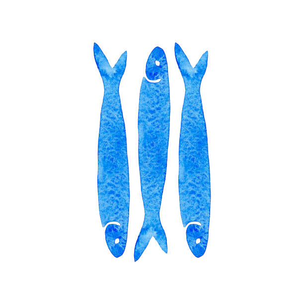 ręcznie rysowane niebieski akwarela ilustracja grupa ryb sardeli na białym tle. - prepared fish stock illustrations