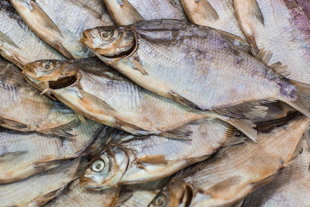 istock Dried fish background. Salty dry river fish top view with copy space 1159679429