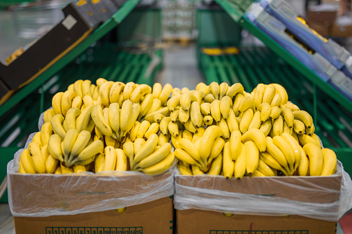 Fresh bananas in cardboard boxes on big super market