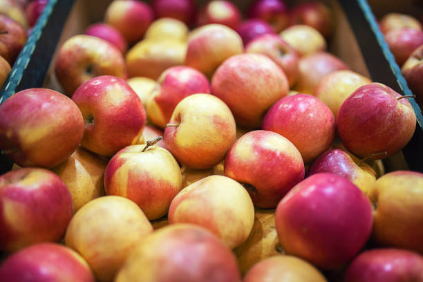 istock Beautiful fruit background with red apples in a cardboard box 1159680676