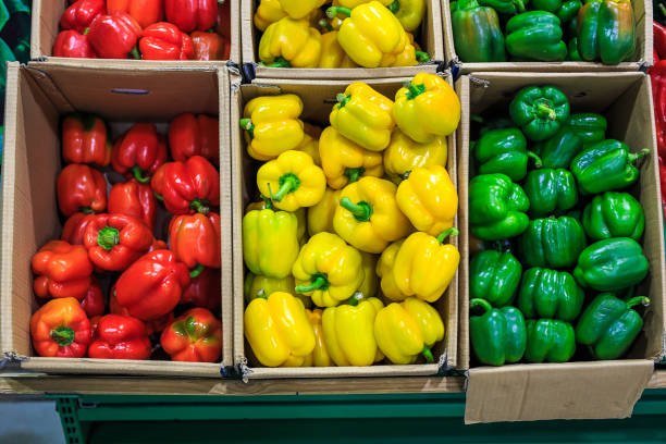 caixas de cartão com as pimentas de sino verdes e vermelhas amarelas nos mercados - green bell pepper bell pepper red bell pepper groceries - fotografias e filmes do acervo