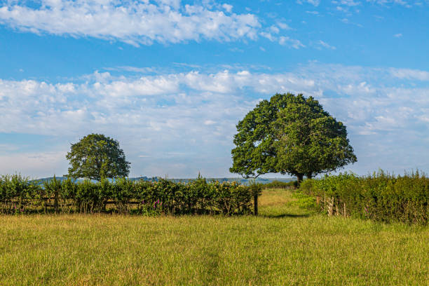 a sussex summer scene - non urban scene england rural scene hill range imagens e fotografias de stock