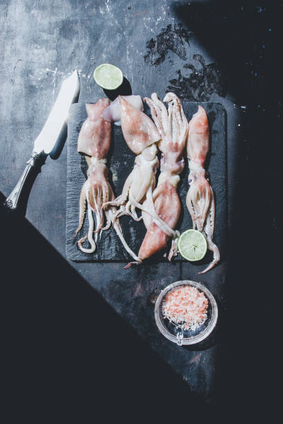istock Calamari on a black background 1159686758