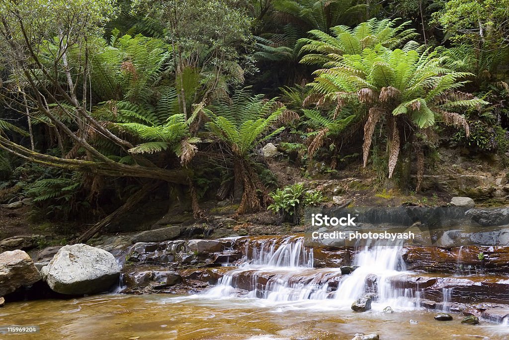 Cachoeira na floresta tropical - Foto de stock de Austrália royalty-free