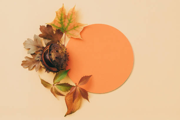istock autumn greeting card orange circle pale background 1159700478
