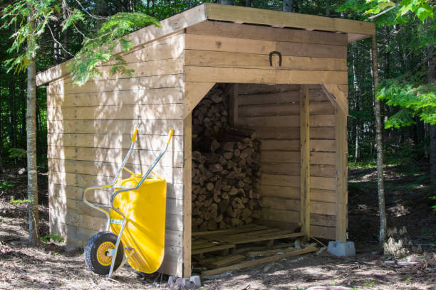 istock wood shed behind house 1159703532