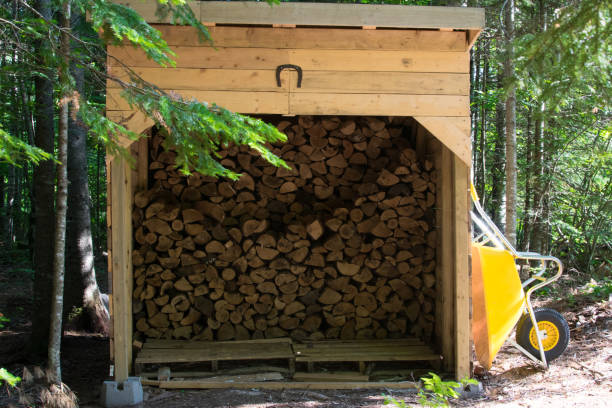 wood shed behind house