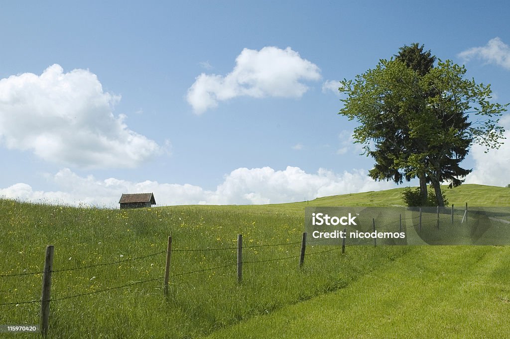 Vue sur la campagne - Photo de Admirer le paysage libre de droits