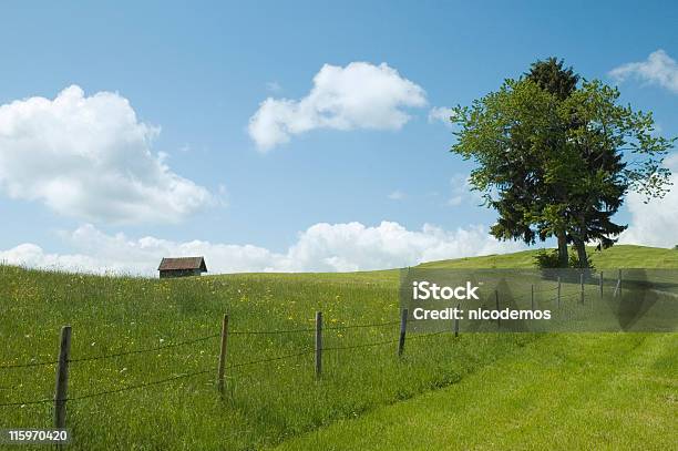 Vista Rural - Fotografias de stock e mais imagens de Admirar a Vista - Admirar a Vista, Agricultura, Ajardinado