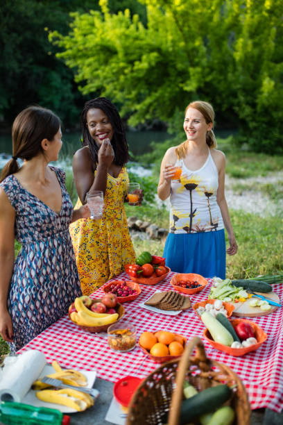 mangiare vegano sano in natura - picnic family barbecue social gathering foto e immagini stock