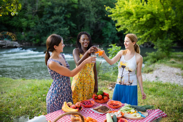 mangiare vegano sano in natura - picnic family barbecue social gathering foto e immagini stock
