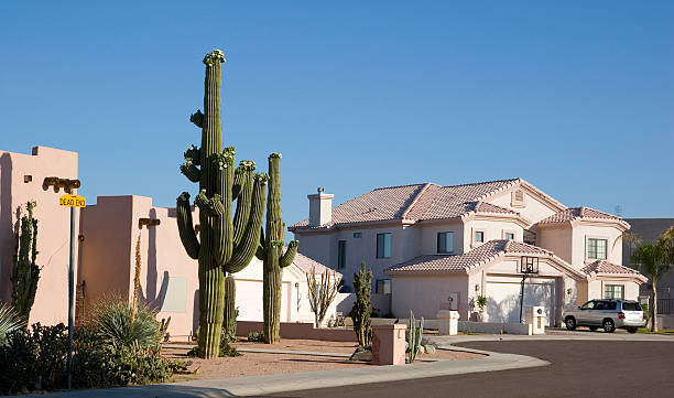 Arizona Cul-de-sac Phoenix Arizona Cul-de-sac with Saguaro Cacti in Front Adobe House adobe material stock pictures, royalty-free photos & images