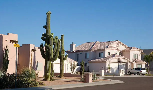 Phoenix Arizona Cul-de-sac with Saguaro Cacti in Front Adobe House