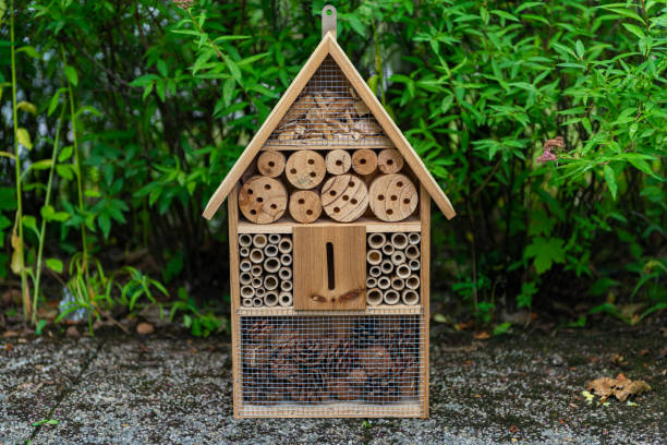 An insect hotel, also known as a bug hotel or insect house, is a manmade structure created to provide shelter for insects.