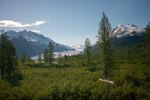 Mountain Glacier in Alaskan interior on the way to Denali.  Mountains, snow, ice, trees, and valley.