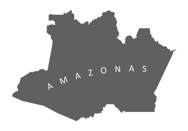 mapa stanu amazonas - amazonas state stock illustrations