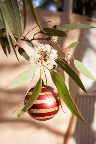 istock Outback Christmas Scene Australia 1159710252
