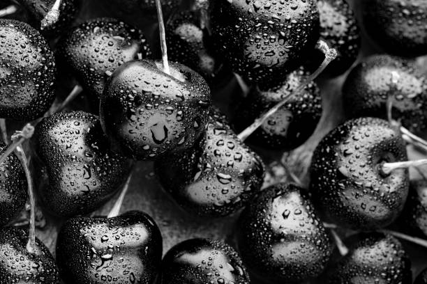 zbliżenie jasnych czarnych dojrzałych wiśni. nietypowe niebieskie tło. duża kolekcja świeżych czarnych wiśni. - black cherries zdjęcia i obrazy z banku zdjęć