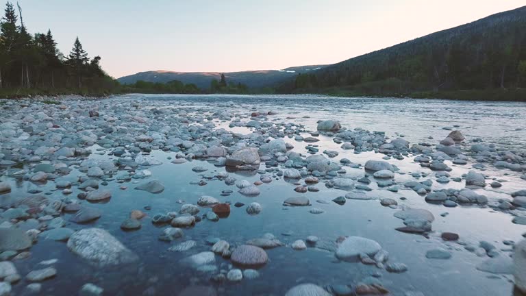 Newfoundland River