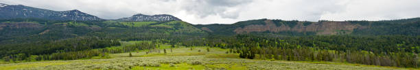 istock Prairie and mountains in Wyoming, USA 1159712759