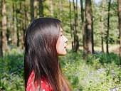 日当たりの良い森の背景を持つ赤いドレスを着た美しい若いブルネットの女性の肖像画。魅力的な若い中国のスタイリッシュな女性の屋外ファッションの肖像画、クローズアップサイドビュ�