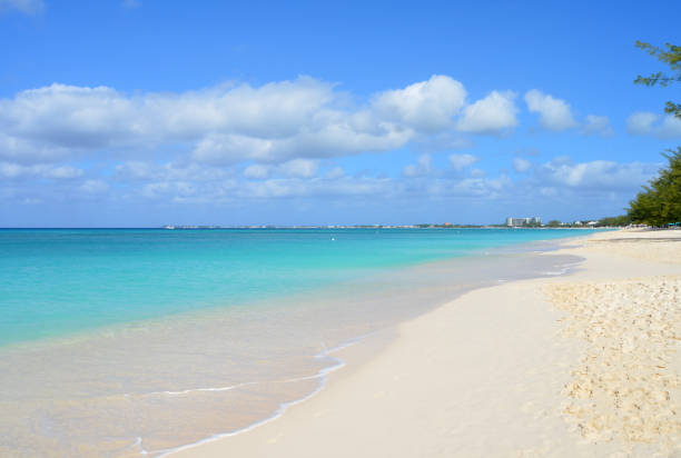 Looking out at Seven Mile Beach on Grand Cayman Island.