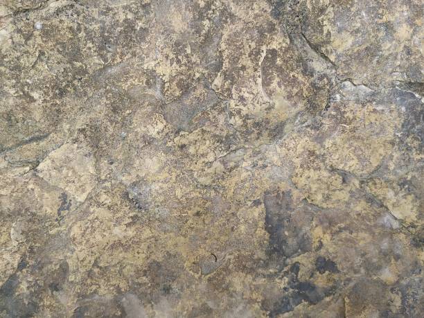 istock Detail of stone texture background 1159720148