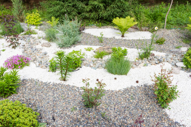 istock landscape design in the garden 1159721662