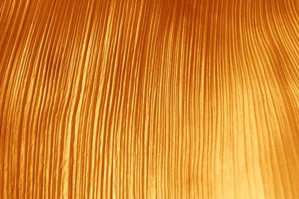 istock Surface of leaf gold color for textured background. 1159724718