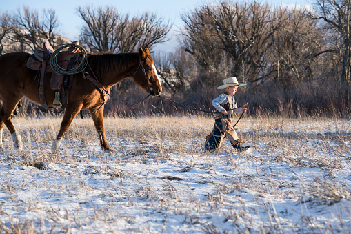 Young child in cowboy hat and leather chaps holds the reins to lead a brown quarter horse across a snowy filed on a sunny winter day, Livingston, Montana, USA
