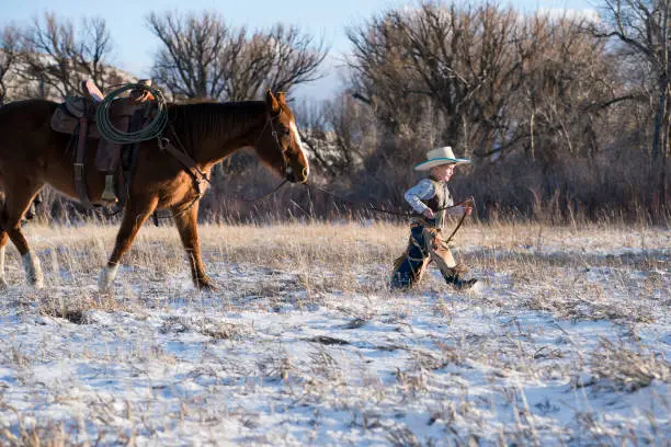 Photo of Young cowboy leads a quarter horse