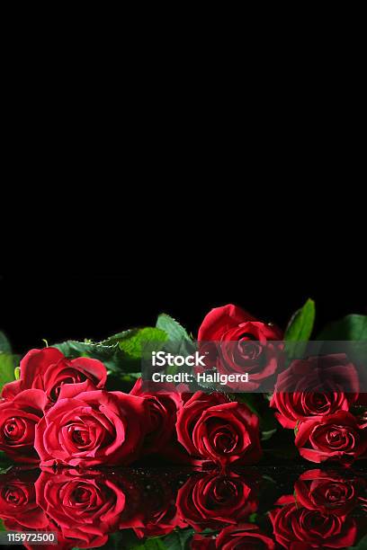 Rosa Rossa - Fotografie stock e altre immagini di Allegro - Allegro, Amore, Anniversario