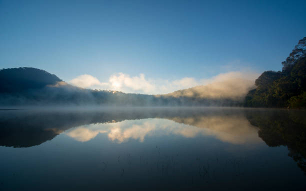 istock Fog in the morning lake. 1159725002