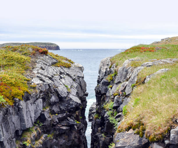 Crevice in rock at Atlantic Ocean